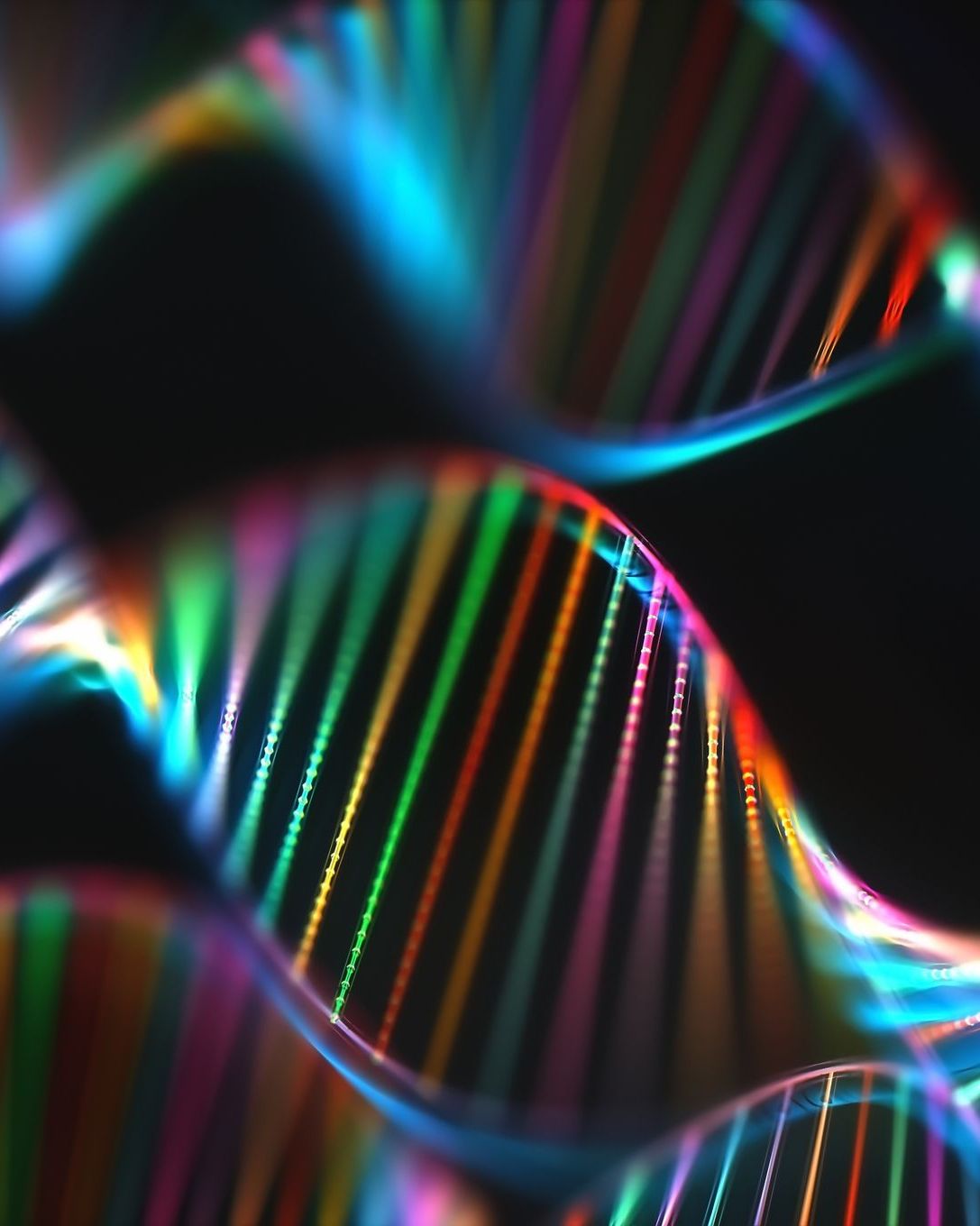 DNA Genetic Code Colorful Genome